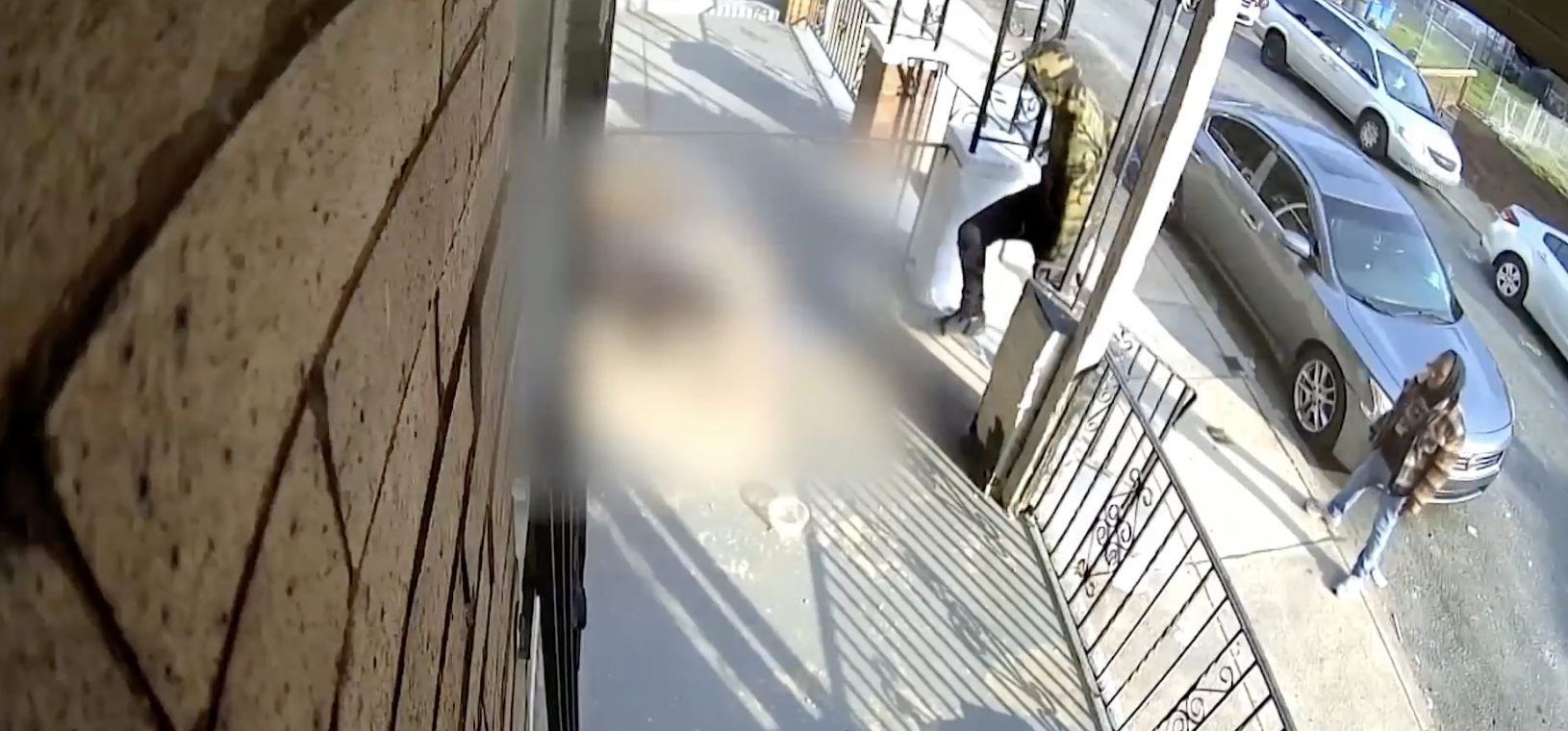 Two boys suspected of siccing dogs on cat surrender to authorities